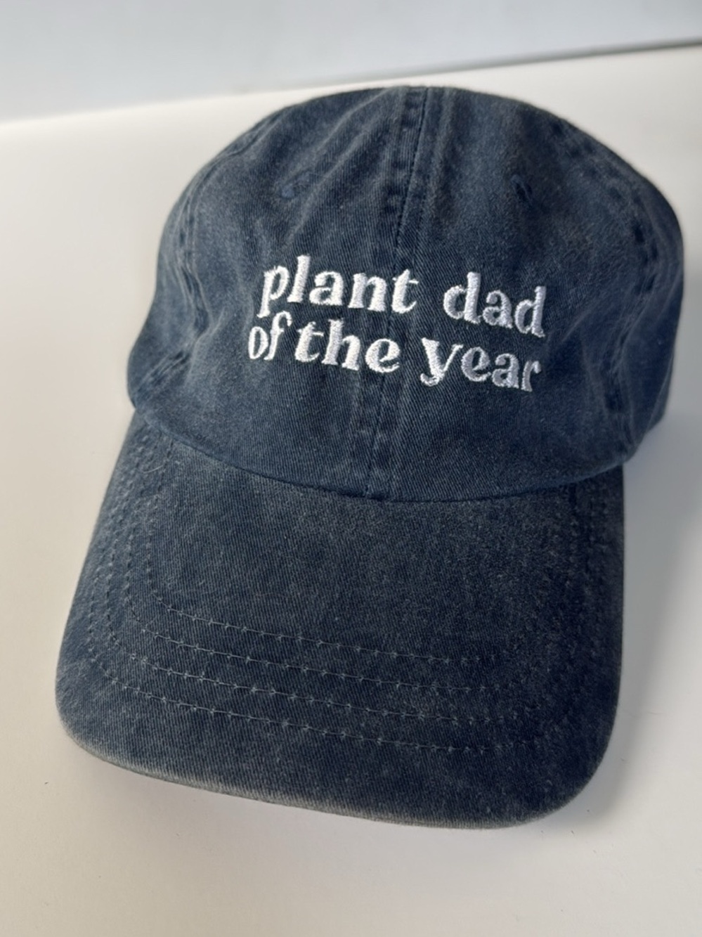 Plant Dad of the Year Baseball Cap